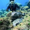 暑さも感じる八丈島、穏やかなナズマドで【ダイビング】