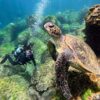 暑さは続く八丈島、概ね落ち着いていた八重根で【体験ダイビング】