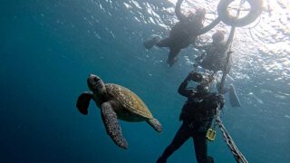 少し雲は増えてた八丈島、落ち着ていた八重根で【体験ダイビング】