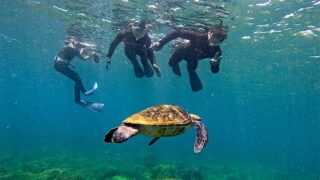 青空広がる八丈島、うねりはあるが八重根で【シュノーケリング】
