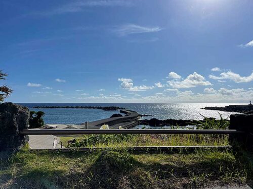 朝の底土