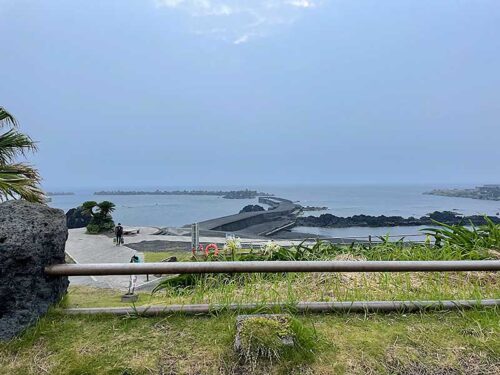 朝の底土