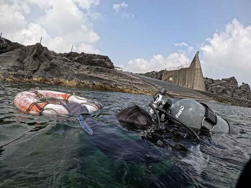 浮き輪に掴まりながら色々練習していって