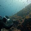 霧は晴れてた八丈島、穏やかなナズマドで【ダイビング】