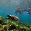 青空続く八丈島、概ね落ち着いていた八重根で【シュノーケリング】