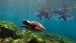 青空続く八丈島、概ね落ち着いていた八重根で【シュノーケリング】