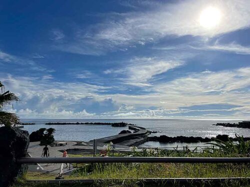 朝の底土