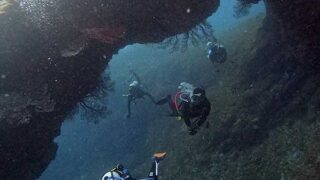 青空見えてた八丈島、うねりはあるが八重根とナズマドで【ダイビング】