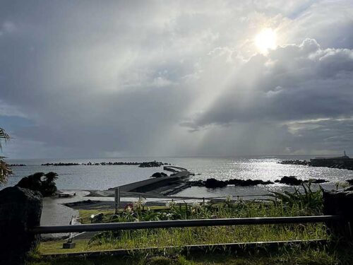 朝の底土