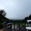 時折雨は止むもののグズつく天気で涼しくなっていた7/16の八丈島