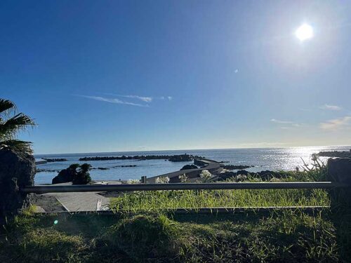 朝の底土