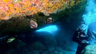 穏やか天気な八丈島、少しうねりはあるがナズマドで【ダイビング】