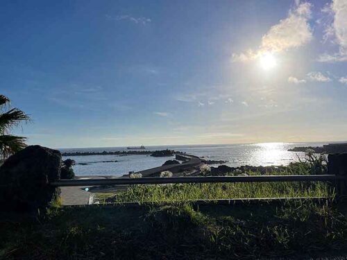 朝の底土