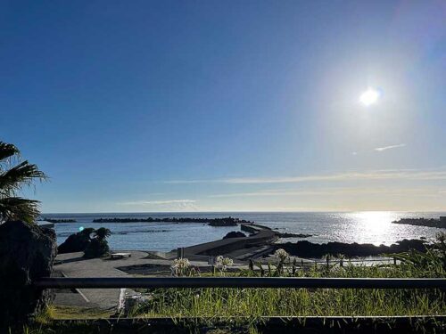 朝の底土