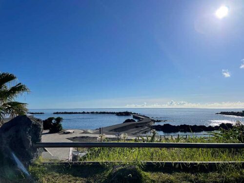 朝の底土