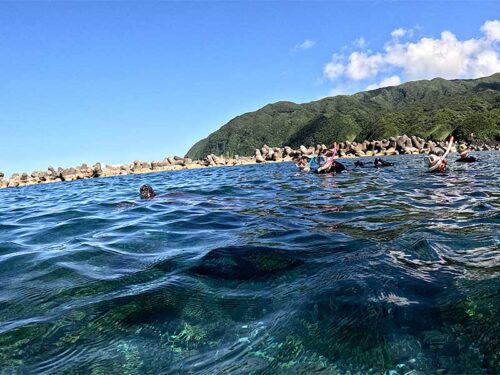 息継ぎしにきたウミガメ見たり