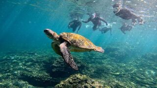 少し雲ある八丈島、概ね落ち着いていた底土で【シュノーケリング 】