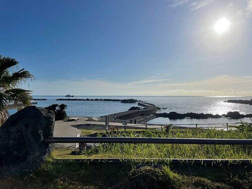 朝の底土