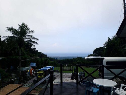 朝のショップから