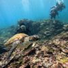 青空広がる八丈島、概ね落ち着く底土で【体験ダイビング】