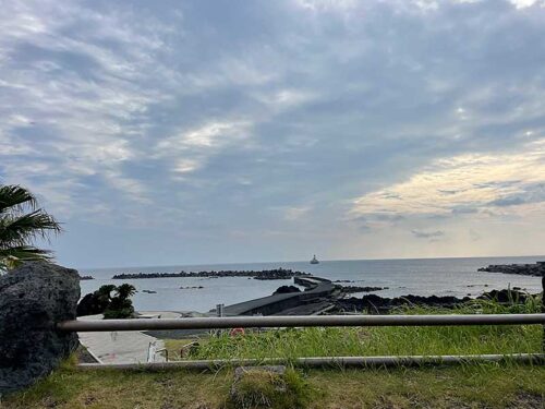 朝の底土