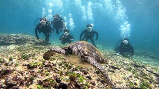 少し雲は多めな八丈島、うねり弱めな底土で【体験ダイビング】