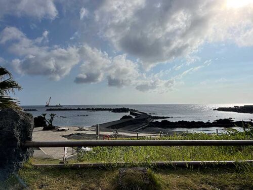 朝の底土