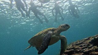 雲は広がる八丈島、概ね落ち着く底土で【シュノーケリング】