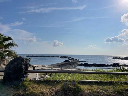 朝の底土