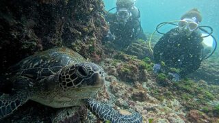 うっすら雲ある八丈島、概ね落ち着いてた底土で【体験ダイビング】