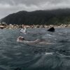 涼しくなってた八丈島、概ね落ち着いていた底土で【シュノーケリング】