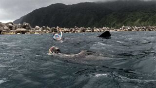 涼しくなってた八丈島、概ね落ち着いていた底土で【シュノーケリング】
