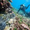 青空広がる八丈島、概ね落ち着く底土で【体験ダイビング】