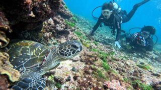 青空広がる八丈島、概ね落ち着く底土で【体験ダイビング】