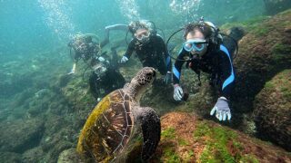 雲は多めな八丈島、うねりはあるが八重根で【体験ダイビング】