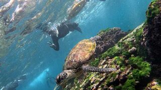 青空広がる八丈島、少しパシャつく底土で【シュノーケリング】