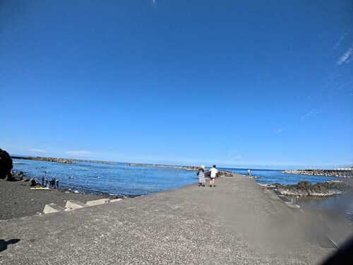 午後の底土