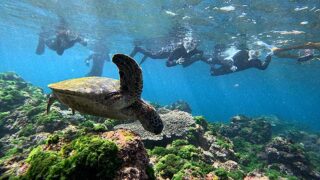 少し雲は見えてた八丈島、概ね落ち着く底土で【シュノーケリング】
