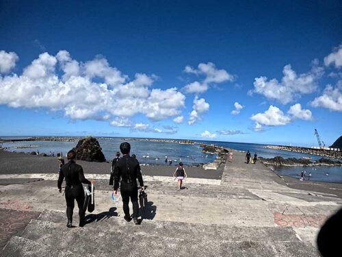 午後の底土