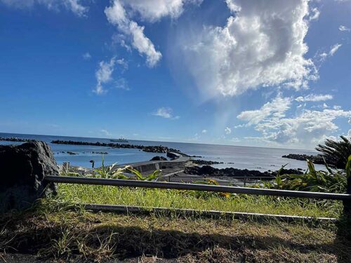 朝の底土