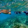 暑さは続く八丈島、落ち着いていた底土で【シュノーケリング】