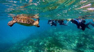 暑さは続く八丈島、落ち着いていた底土で【シュノーケリング】