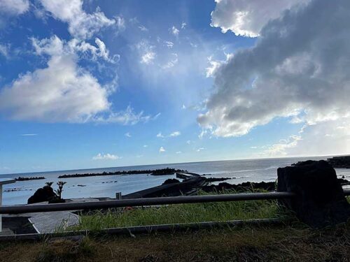 朝の底土
