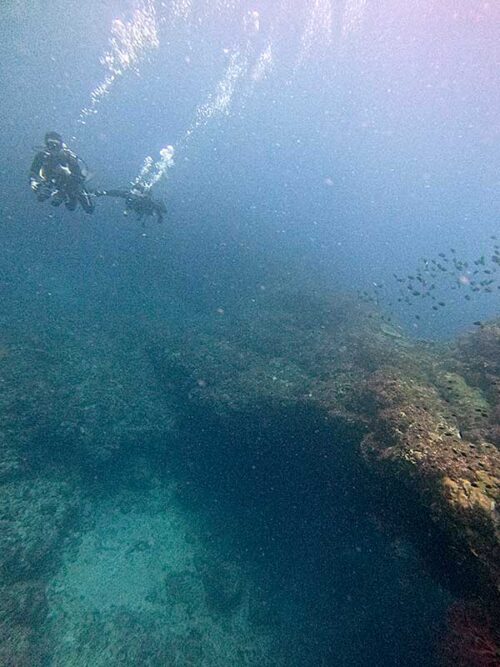 八重根のアーチも眺めつつ