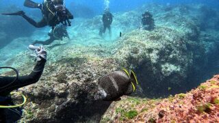 暑さは続く八丈島、八重根とナズマドで【ダイビング】