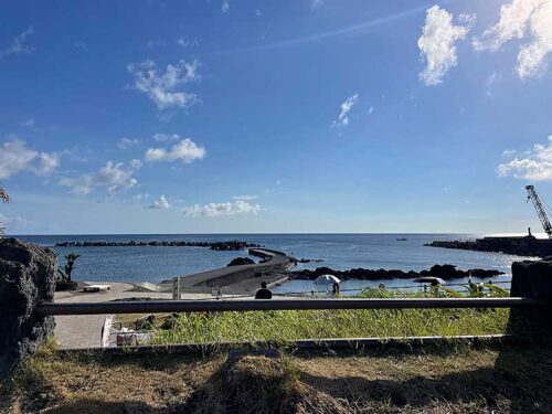 朝の底土