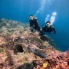 風は止んでた八丈島、穏やかな八重根で【体験ダイビング】