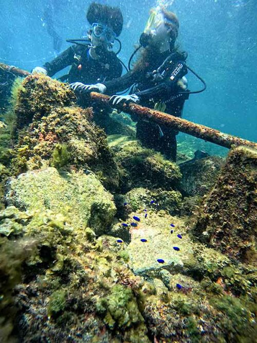 浅場でゆっくり海に慣れ