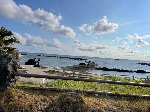 朝の底土