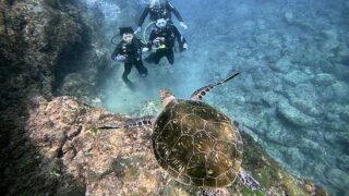 変わらず暑い八丈島、八重根とナズマドで【体験ダイビング】